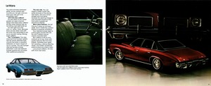 1973 Pontiac LeMans & Grand Am-10-11.jpg